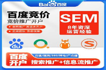 SEM推广优化策略：成功案例解析
